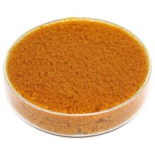Resin Penukar Ion