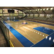 Lantai Arena Olahraga