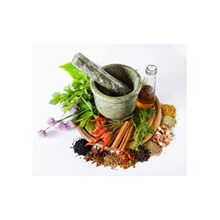 Bibit Herbal