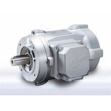 Body Electric Motor