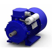 Single Phase Induction Motor