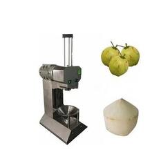 Jual Mesin Pengupas Kelapa