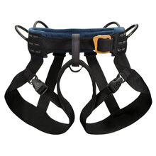 Body Harness