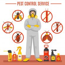 Pest Control