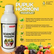 Hormon Pertumbuhan Tanaman