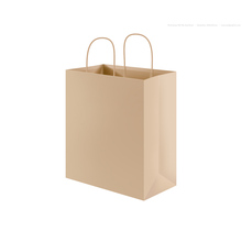 Paper Bag