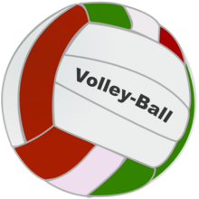 Bola Voli