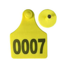 Ear Tag Image