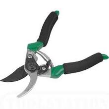 Gunting Daun Image