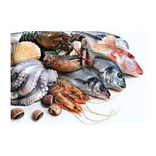 Ikan Segar