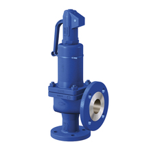 Safety Valve