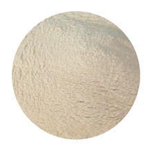 Xanthan Gum Image