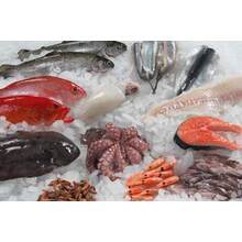 Ikan Beku dan Fillet