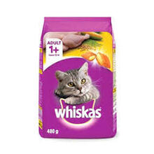 Makanan Kucing