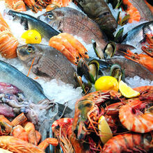 Ikan dan Hasil Laut