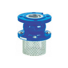 Foot Valve