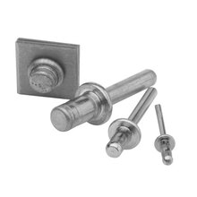 Paku Keling / Rivet
