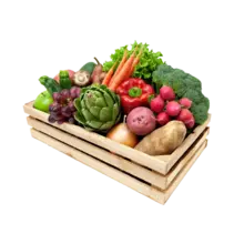 Jual Produk Organik