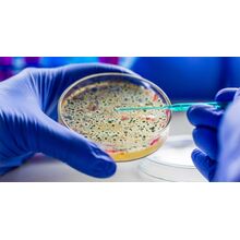 Cell Culture Media