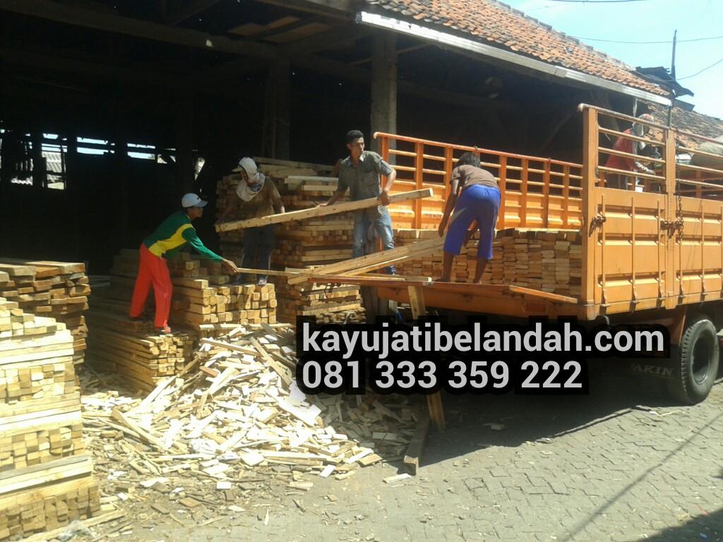Jual Kayu Jati Distributor Beli Supplier Eksportir Importir