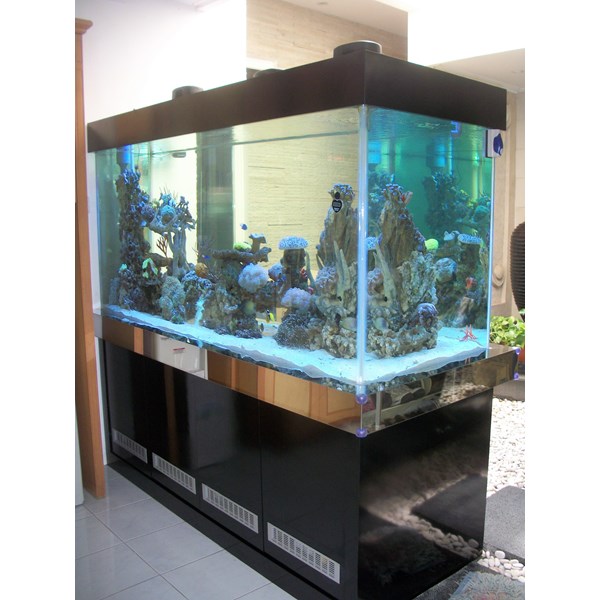 Jasa akuarium surabaya oleh Toko City Aquaworld Surabaya