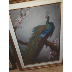 5700 Koleksi Gambar Burung Merak Lukisan Gratis Terbaru