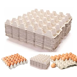 Egg Tray Telur Paket Paket Isi 100 Lembar