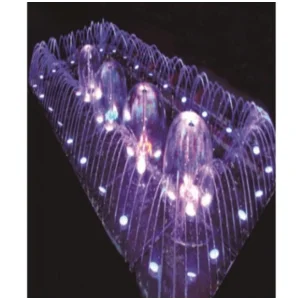 Air Mancur Bigfountain BFS 08 - 2000 X 4000