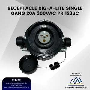 RECEPTACLE RIG-A-LITE Single Gang 20A 300VAC PR 123BC