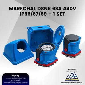MARECHAL DSN6 63A 440V IP66/67/69 – 1 Set