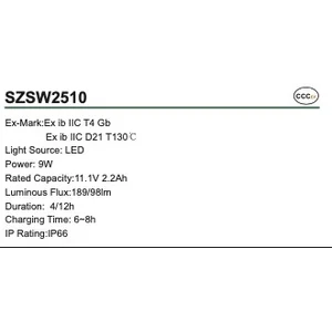 Flashlight Explosion Proof Seva Szsw2510