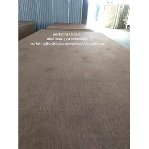Triplek / Kayu Lapis Plywood 12Mm