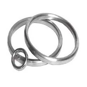 Ring Joint R-24 Type Oval Soft Iron Econostro