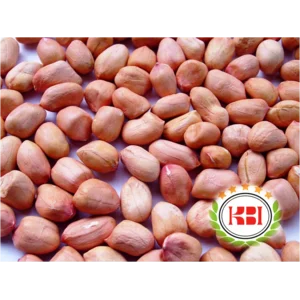 Kacang - Tanah - 50kg