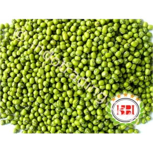 Kacang Hijau Premium Kemasan 25 Kg
