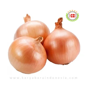 BAWANG BOMBAI Impor PREMIUM GROSIR