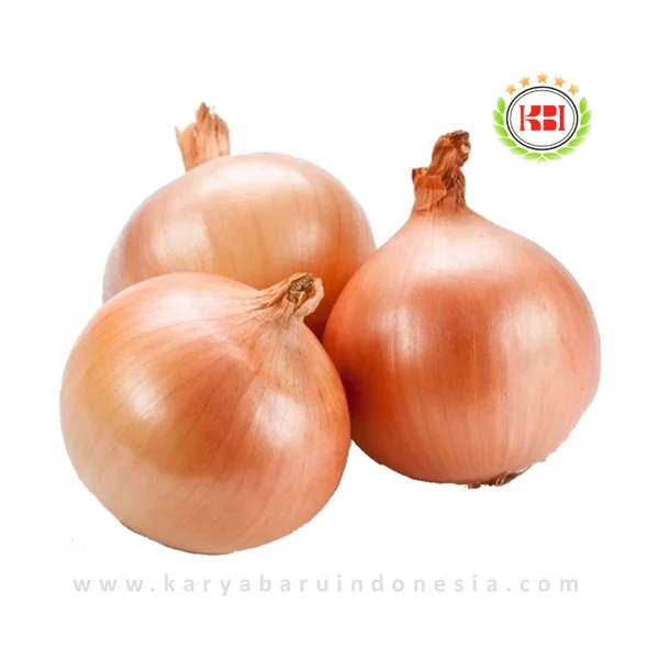 BAWANG BOMBAI Impor PREMIUM GROSIR