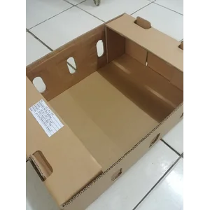 Kotak Karton Kardus Custom Kemasan Buah