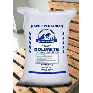 Pupuk Dolomit powder mesh 100