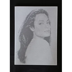 Barang Promosi Perusahaan Plat Berlubang motif 60cm x80cm