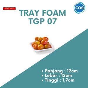 Styrofoam Tray TGP 07 - Tray Foam