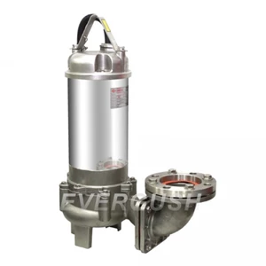 Evergush Efs-10A Submersible Sewage Pump