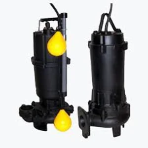 Pompa Air EBARA D Series