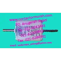 SIBA tipe NH2  315A fuse 