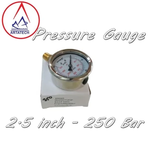 Pressure Gauge 2.5 inch - 250 Bar