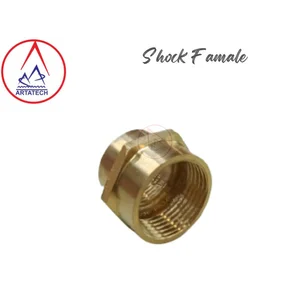Shock Famale 3/4 inch x female 1 inch fitting female