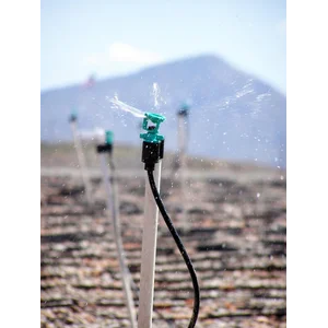 Impact Sprinkler 30 40 50