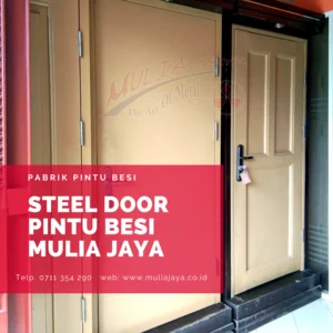 Pintu Panel Besi & Fire Door