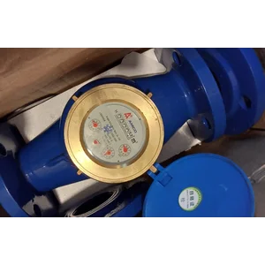 Amico Water Meter 2 Inch - Flow Meter 