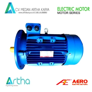 Aero Electric Motor 3 Phase Flange Mounted(B5) 2Pole (Dinamo Motor) 63M 1-2 (2720rpm) 
